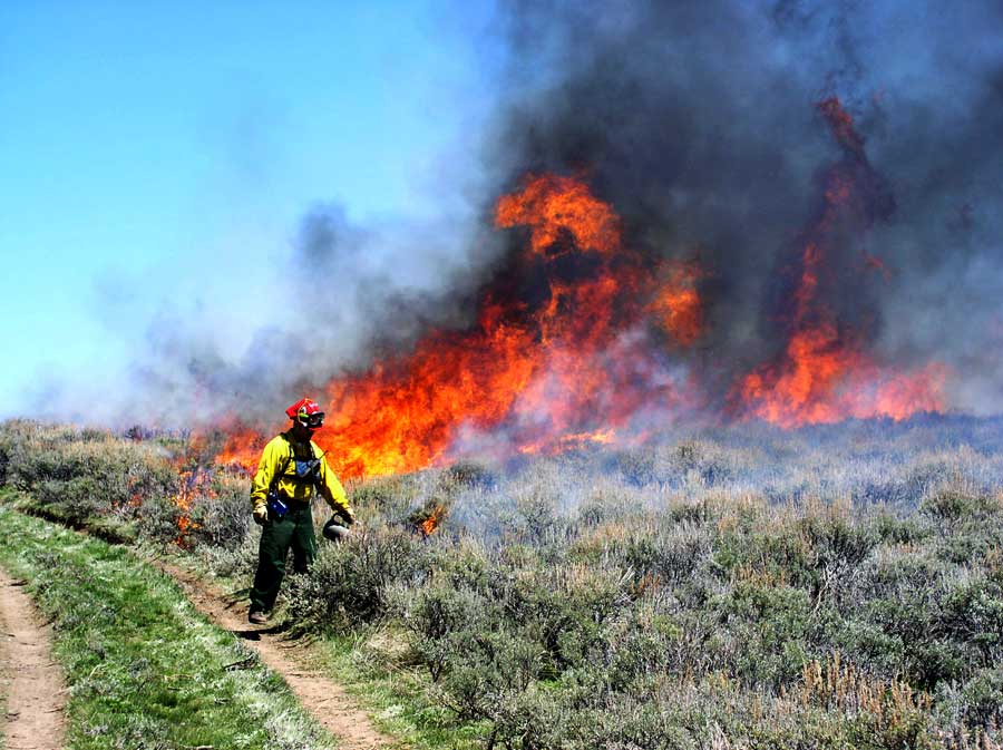 Martin Ranch, Wyoming