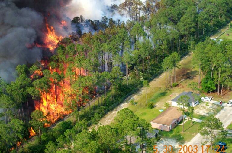 Urban Corridor Prescribed Burn